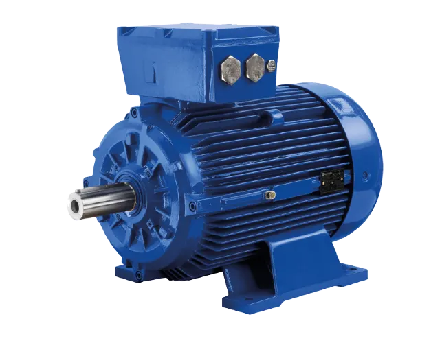 ELECTRIC MOTOR